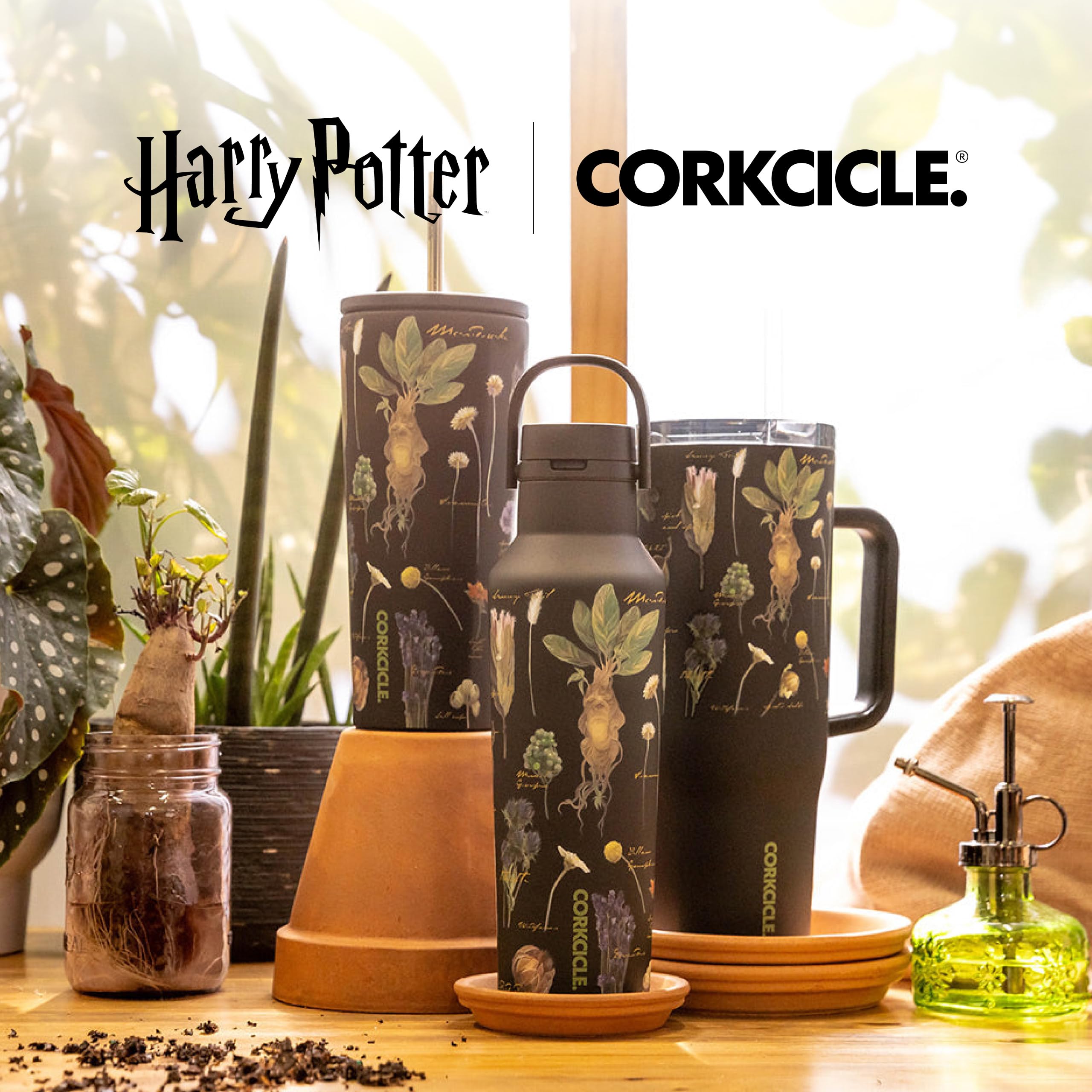 Corkcicle on a park bench with picnic for lifestyle use and fan flair