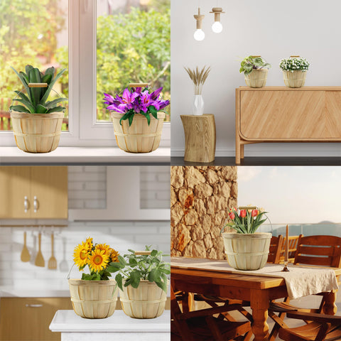 Cornucopia Brands holding harvested garden vegetables showing practical harvest and storage benefit