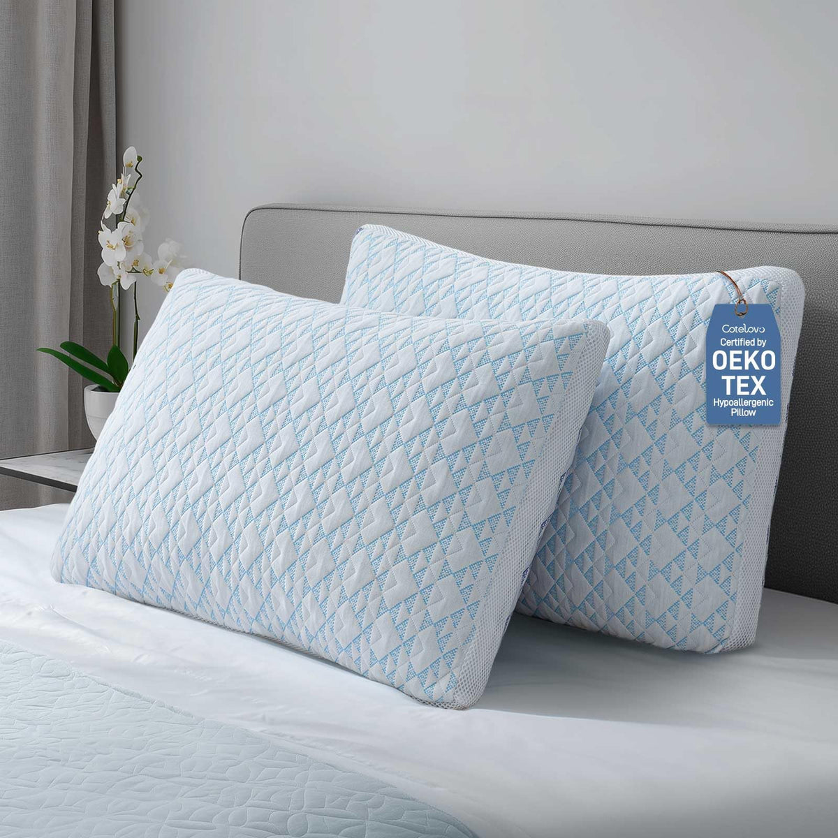 Cotelovo front view of two pillows showing plush bamboo cover and neat edges for supportive comfort