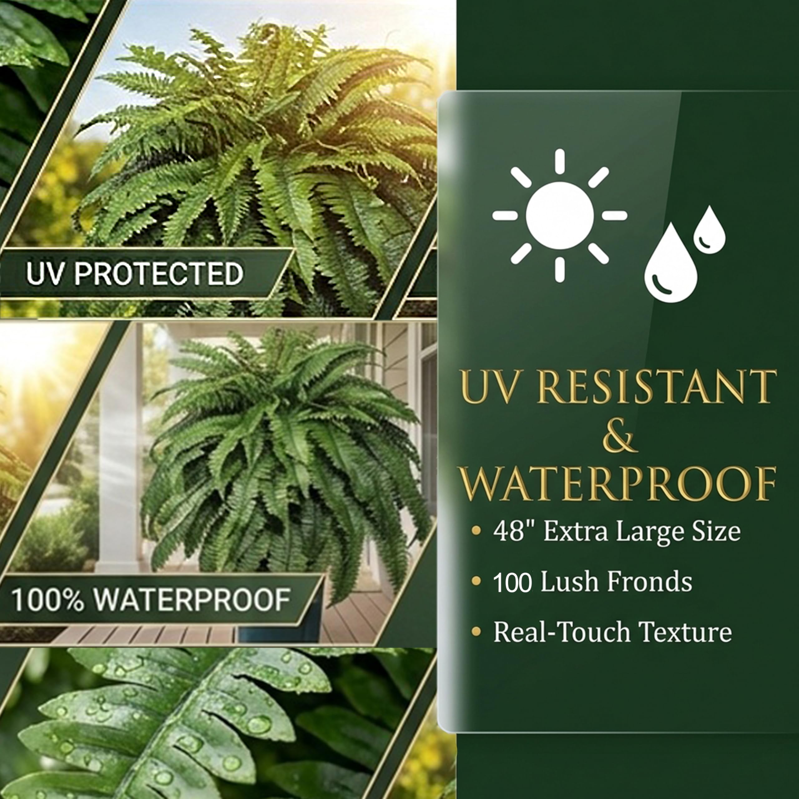 Cotlux fern on patio creating low-maintenance outdoor ambiance