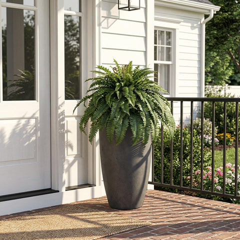 Cotlux fern next to chair showing scale and space-filling benefit