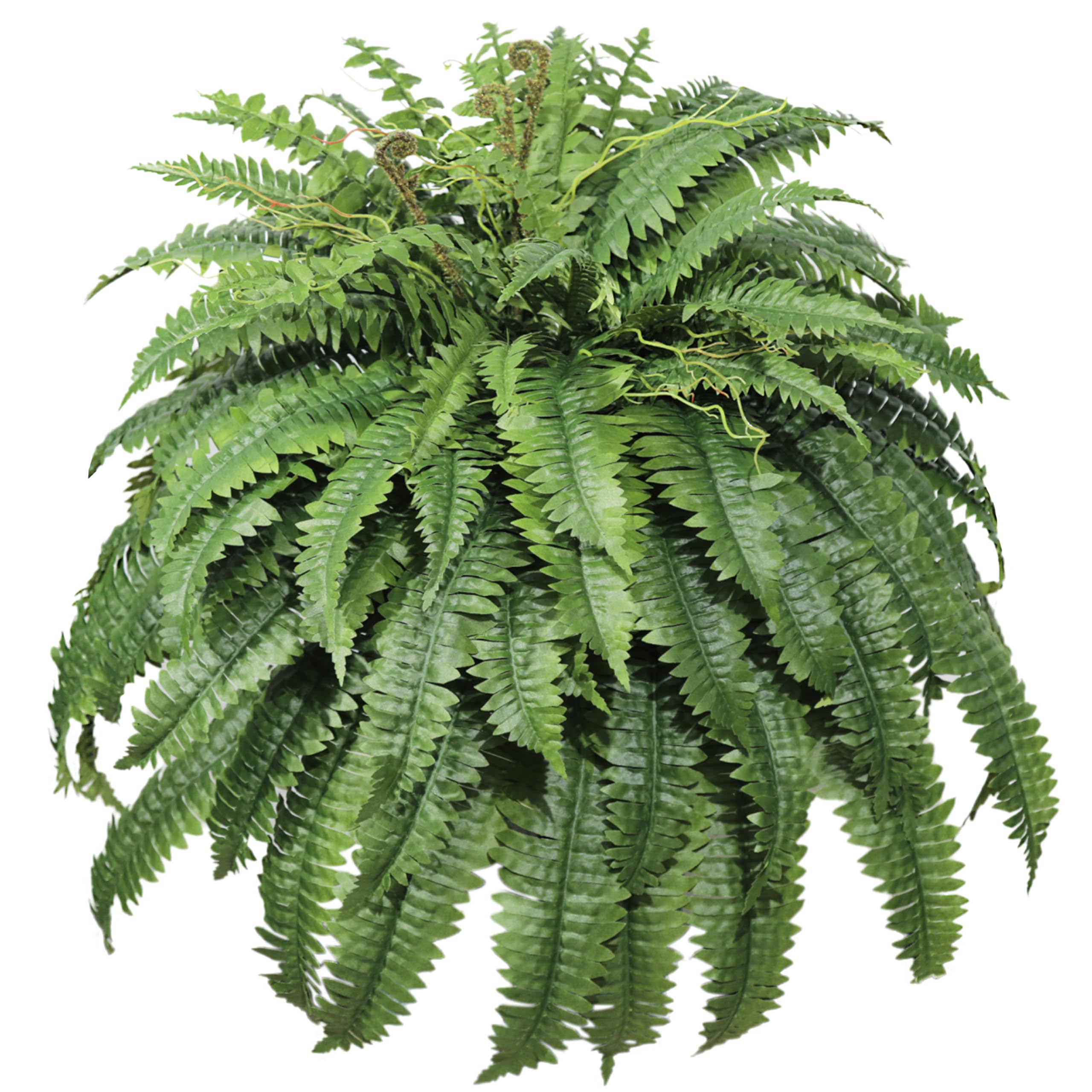 Cotlux front view large artificial fern showing full lush coverage benefit