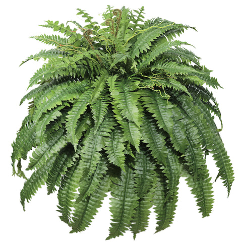 Cotlux front view large artificial fern showing full lush coverage benefit