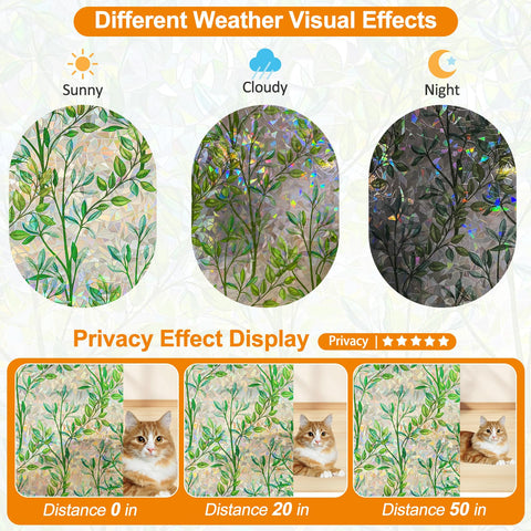 COUNTEWOL film in sunlight producing rainbow effect and colorful room ambiance