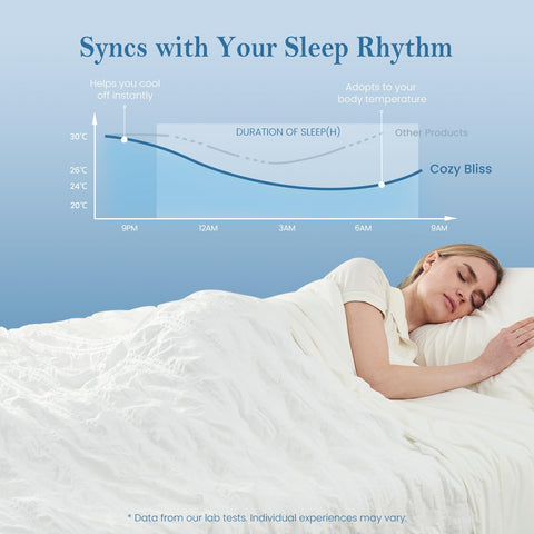 Cozy Bliss comforter styled on a bedroom queen bed for elegant look
