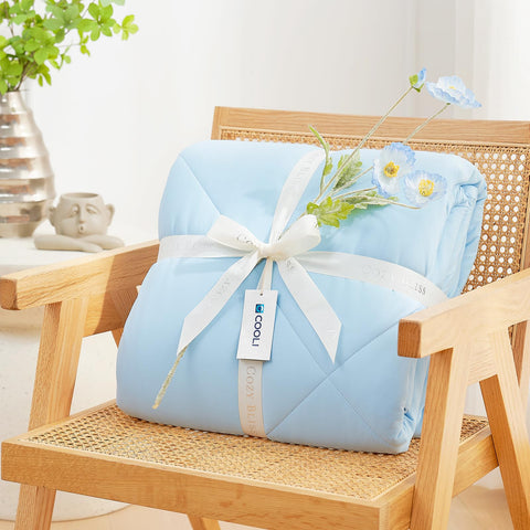 Cozy Bliss neatly folded comforter illustrating compact, travel-friendly convenience