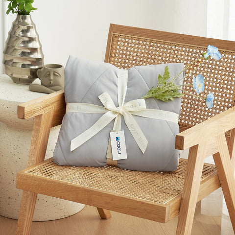 Cozy Bliss folded comforter packed for travel, easy to carry and use