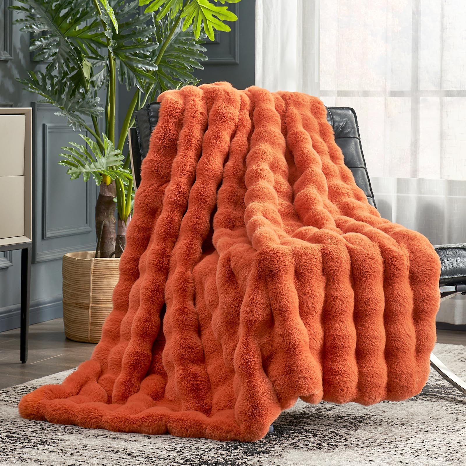 Cozy Bliss front view shows burnt orange throw on couch, inviting comfort
