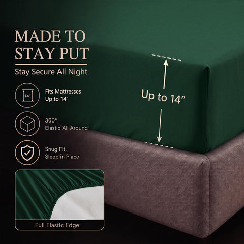 CozyLux vacuum-sealed packaging illustrating compressed shipping and easy unpacking