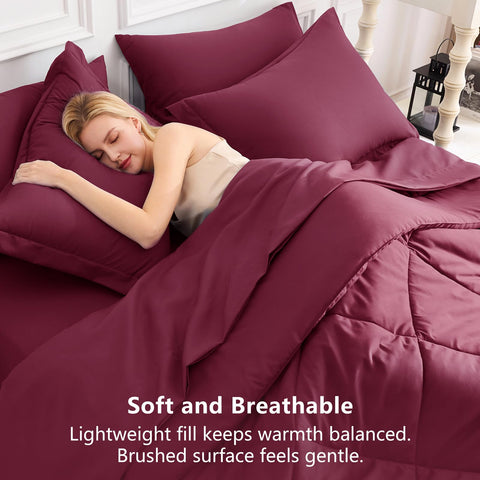 CozyLux comforter set vacuum-sealed in shipping box for compact delivery and easy storage