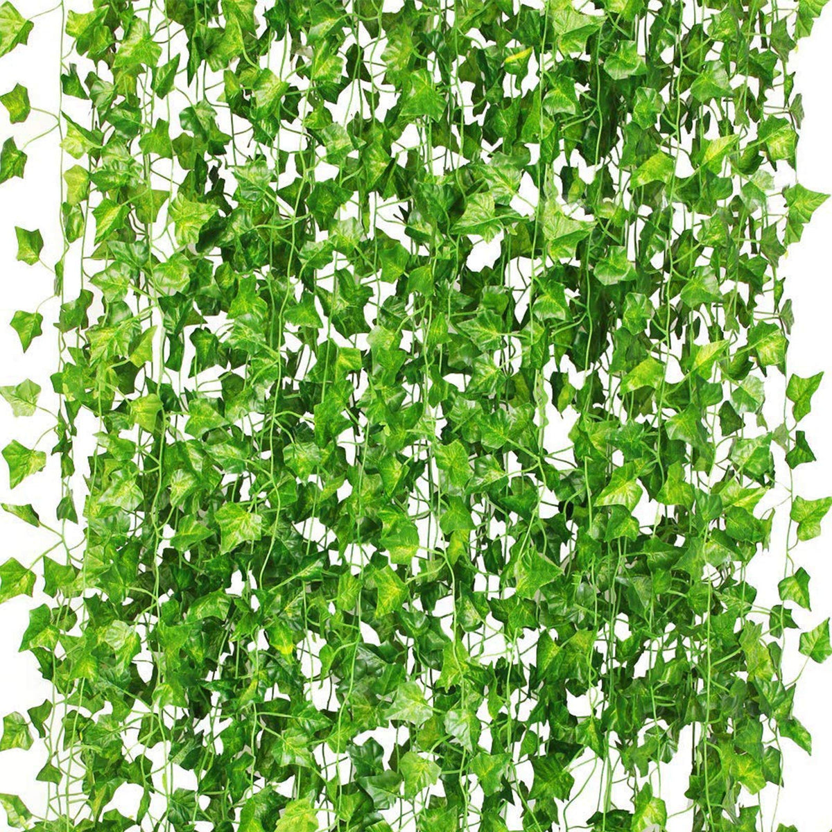 CQURE front view of 48-pack ivy garlands showing packaged set and coverage benefit