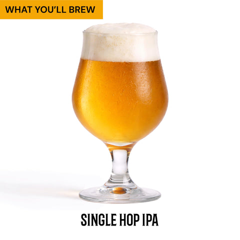 Craft A Brew equipment layout with tools displayed for easy setup and organization