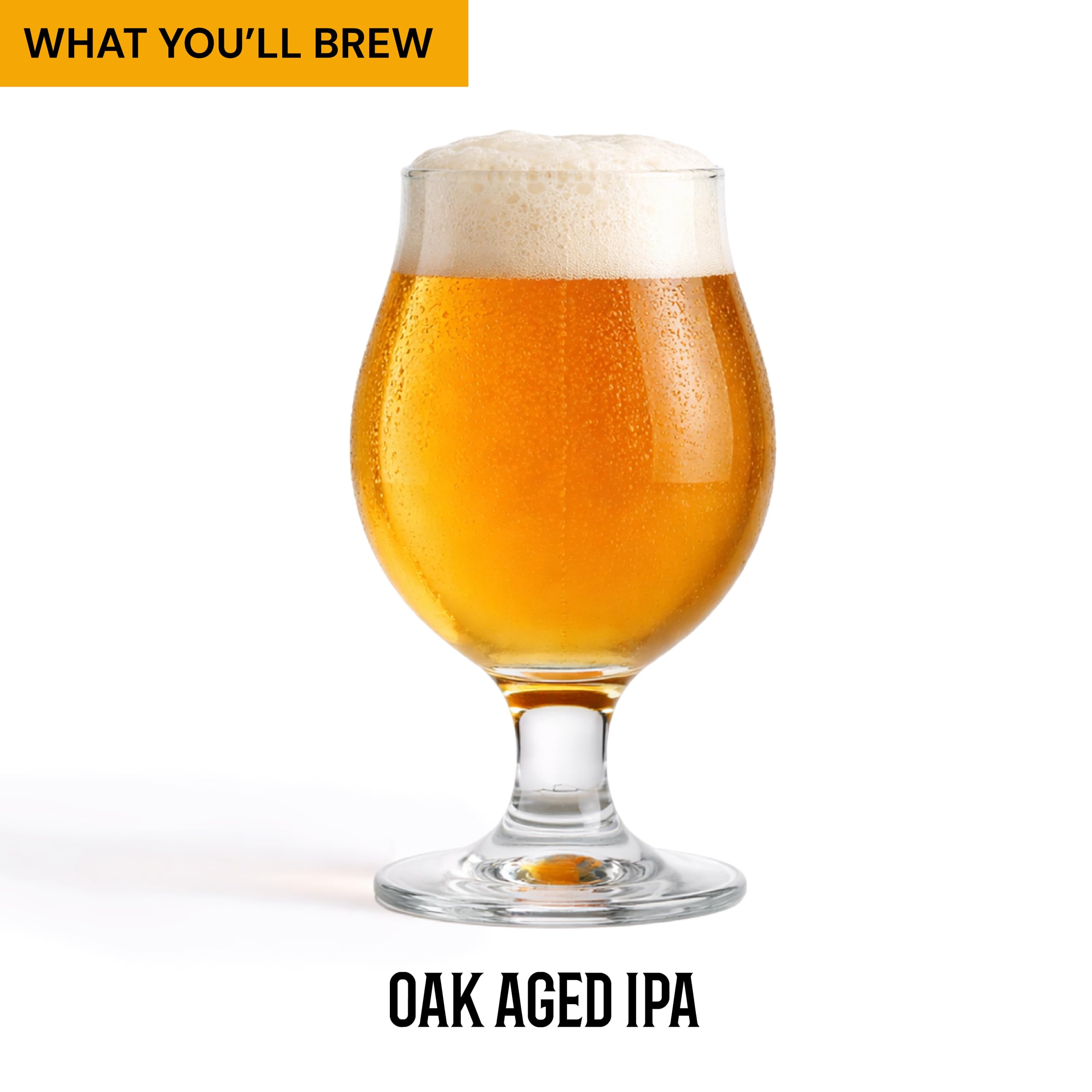 Craft A Brew full equipment layout with organized brewing tools