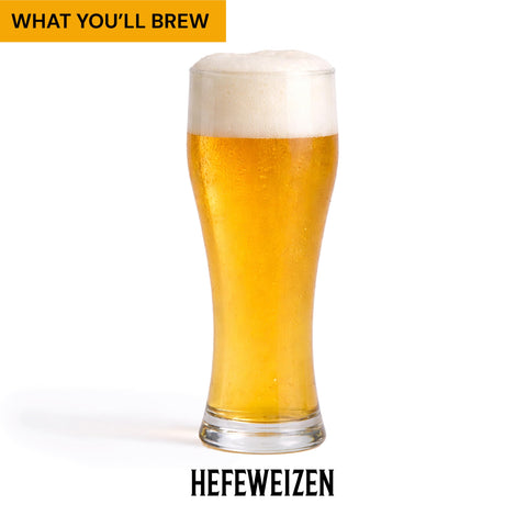 Craft A Brew ingredient spread showing measured malts and hops for consistency