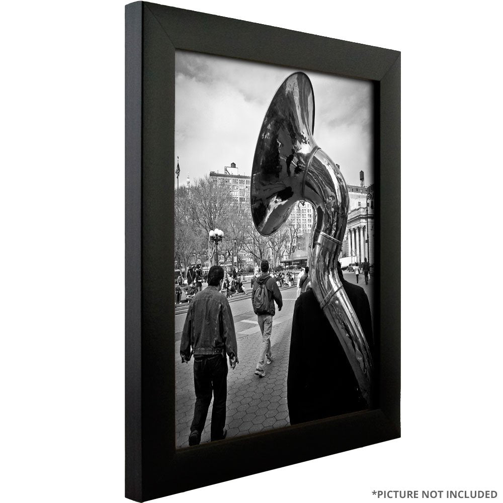 Craig Frames displayed in living room showing stylish poster presentation