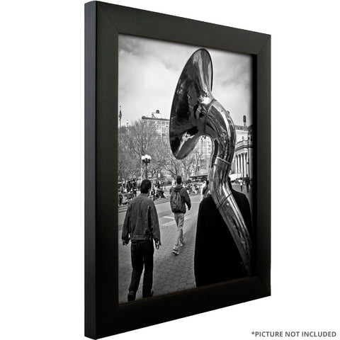 Craig Frames displayed in living room showing stylish poster presentation