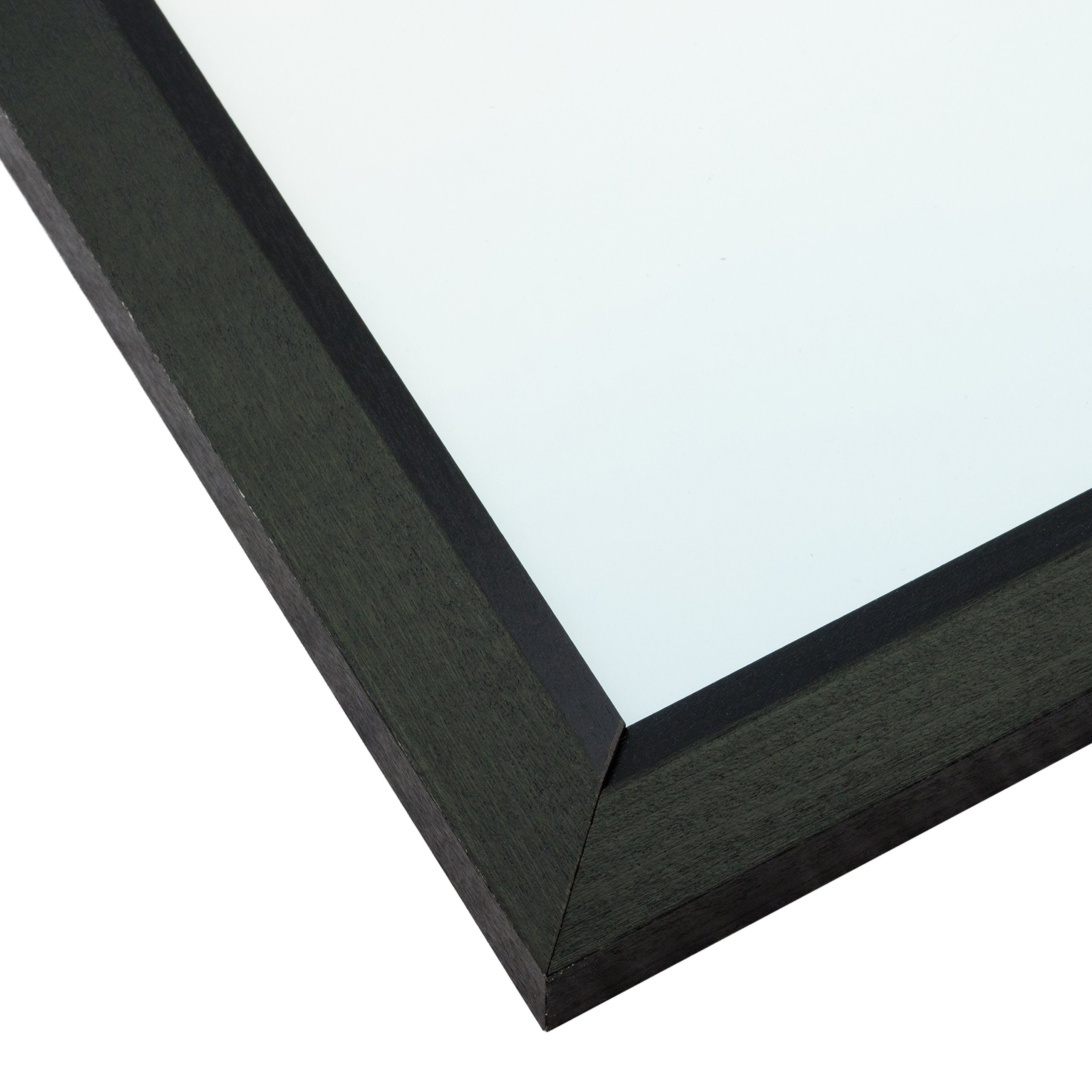 Craig Frames clear acrylic facing detail protecting poster while keeping image visible