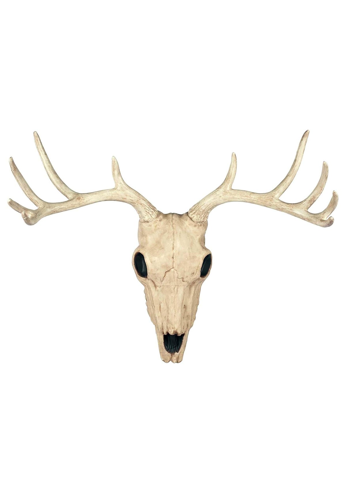 Crazy Bonez front view skull showing realistic bone detail and instant rustic appeal