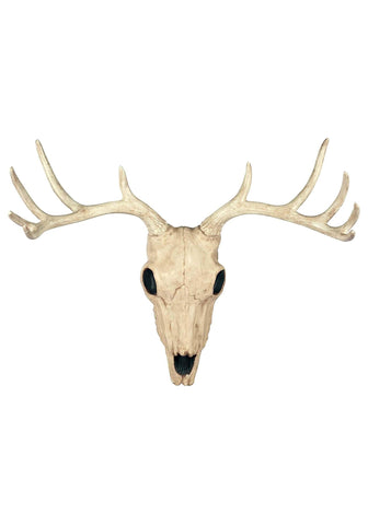 Crazy Bonez front view skull showing realistic bone detail and instant rustic appeal