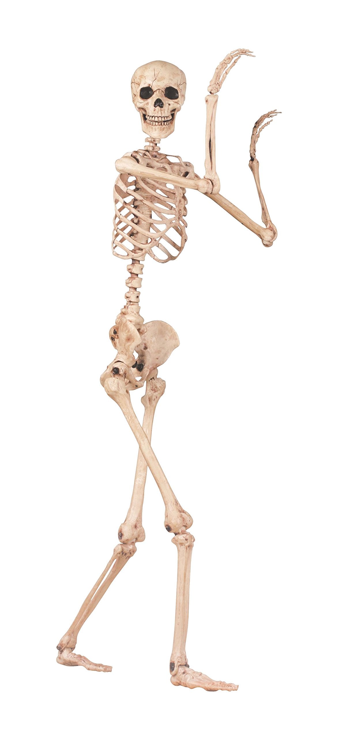 Crazy Bonez skull close-up with movable jaw for expressive poses