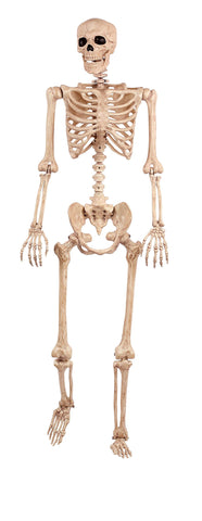 Crazy Bonez front view showing life-size skeleton for dramatic displays
