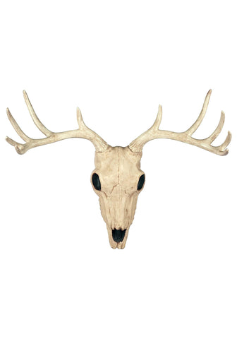 Crazy Bonez next to hand to show scale and lightweight hanging benefit