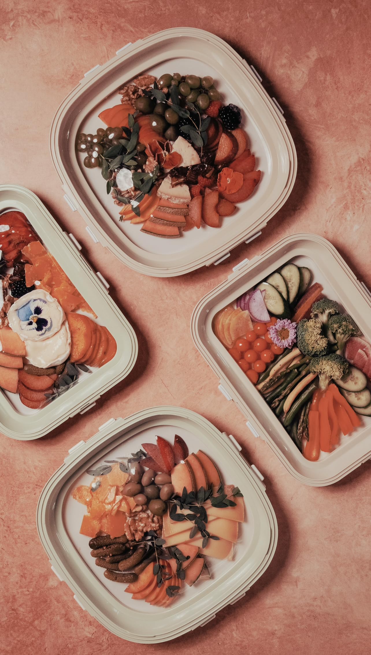 Crudités trays styled on a picnic blanket demonstrating outdoor entertaining ease