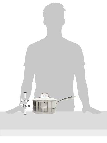 Cuisinart saucepan in oven and on induction cooktop showing oven and induction versatility