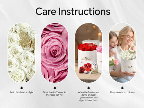 Cyrabota multiple color options displayed to help match decor and personal taste