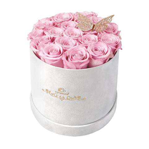 Cyrabota front view suede box showing elegant gift presentation and protection