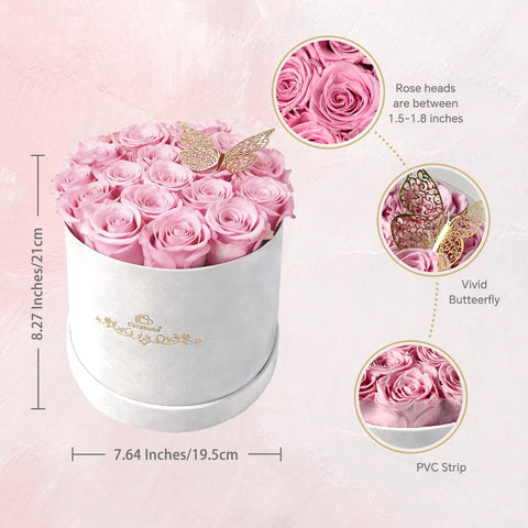 Cyrabota top-down view of sixteen light pink roses showcasing full arrangement beauty