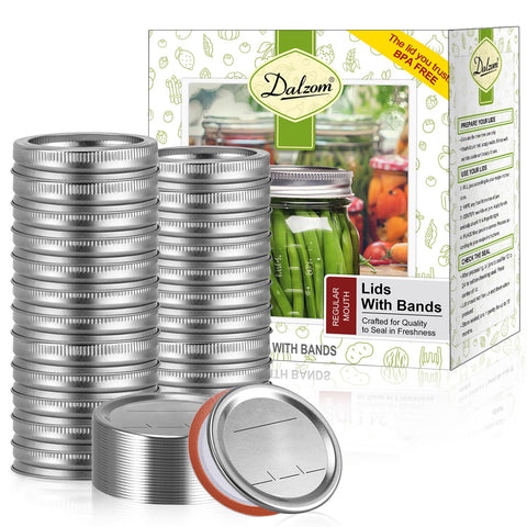 Dalzom front packaging showing full 72-piece regular-mouth set and benefits