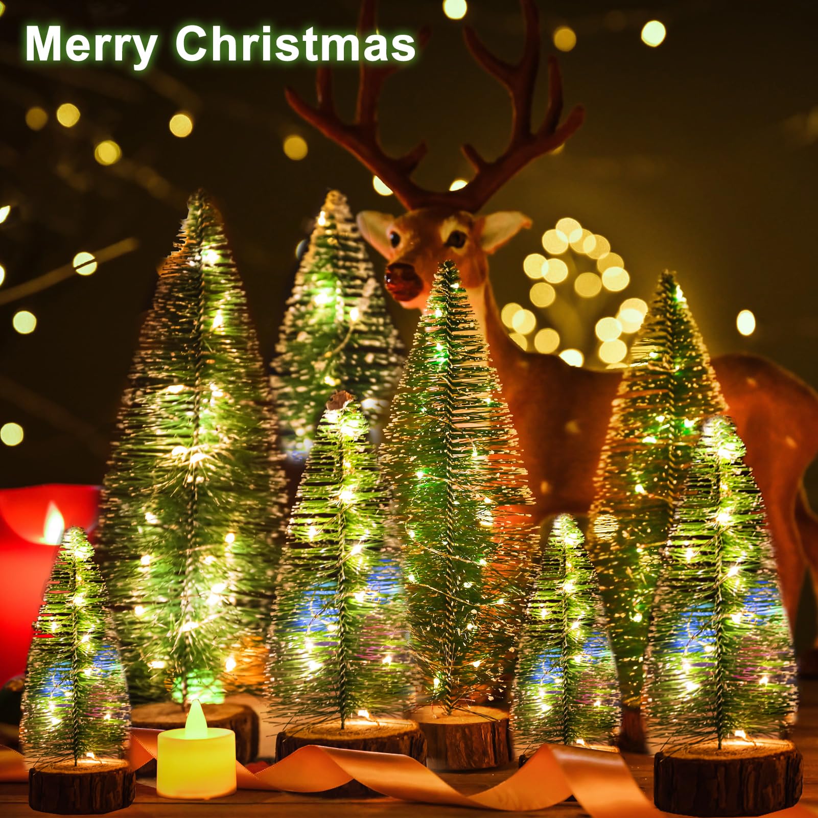 Danhh lit trees at night creating warm ambiance for small-space displays