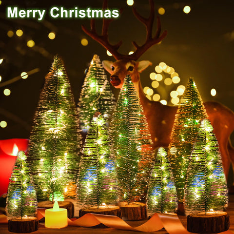 Danhh lit trees at night creating warm ambiance for small-space displays