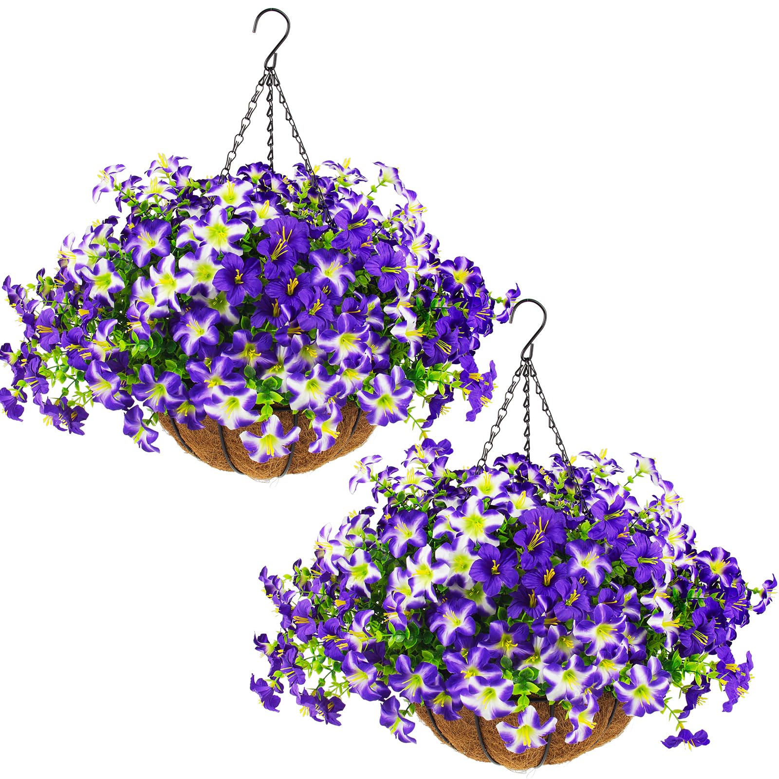 Daynight front view hanging basket showing full purple blooms and curb appeal