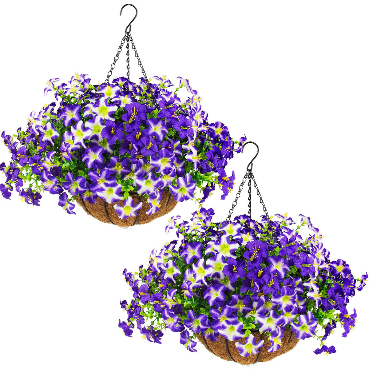 Daynight front view hanging basket showing full purple blooms and curb appeal