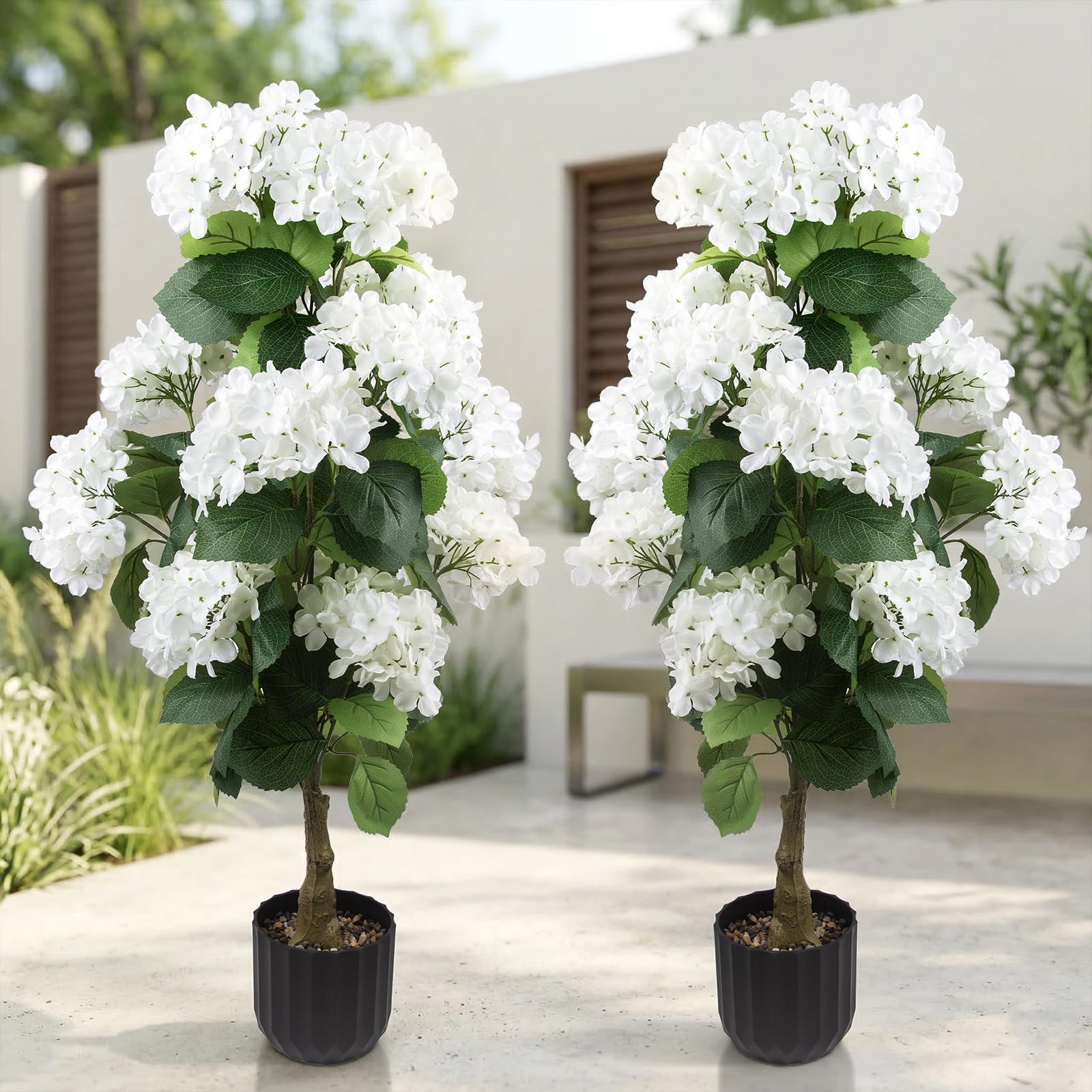 Daynight hydrangea front view showing full blooms and instant curb appeal