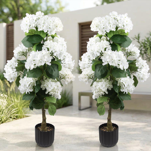 Daynight hydrangea front view showing full blooms and instant curb appeal