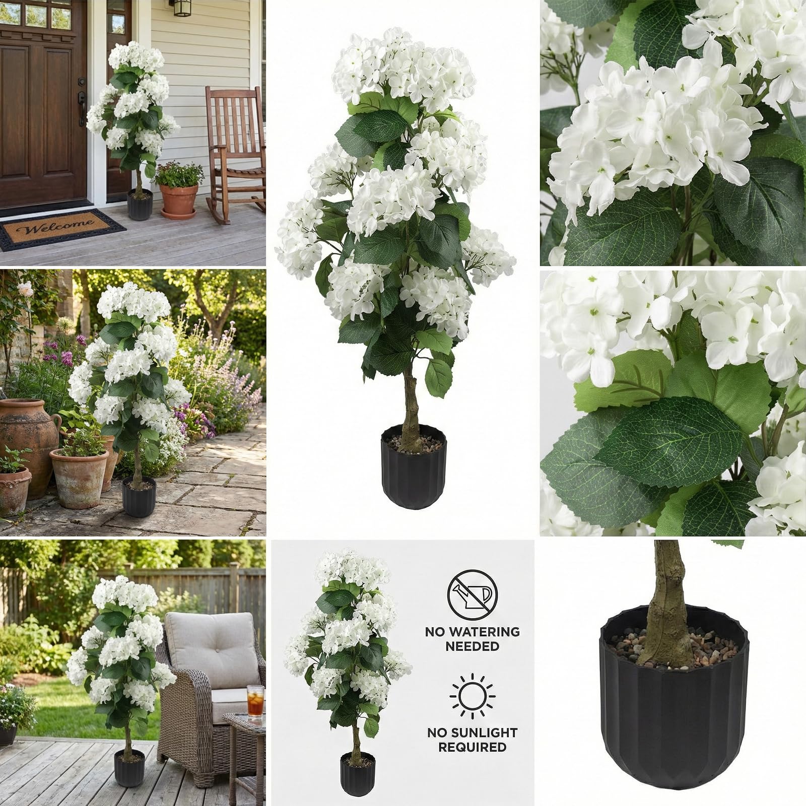 Daynight hydrangea on porch demonstrating weatherproof curb appeal