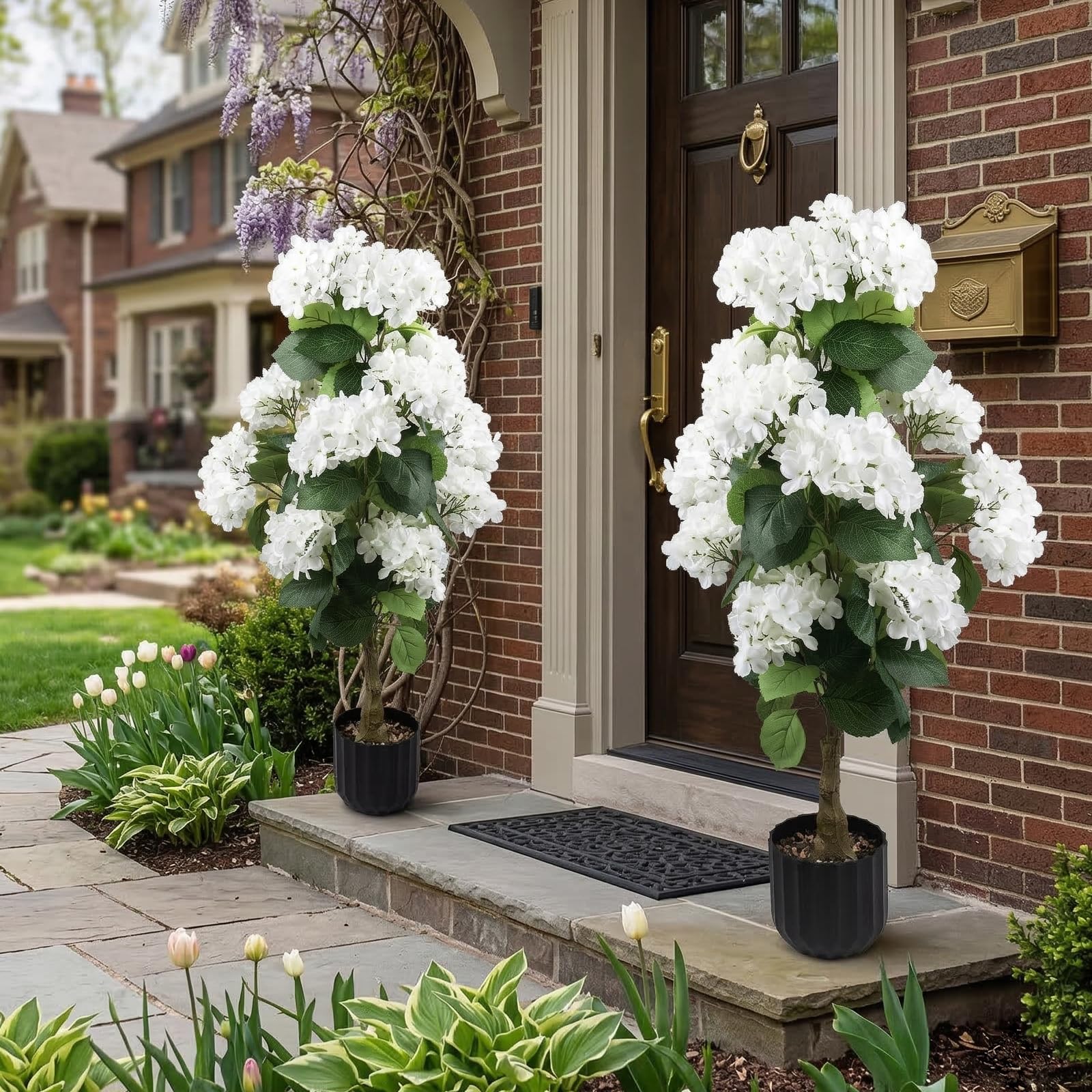 Daynight hydrangea packaging and contents showing two pre-potted trees ready