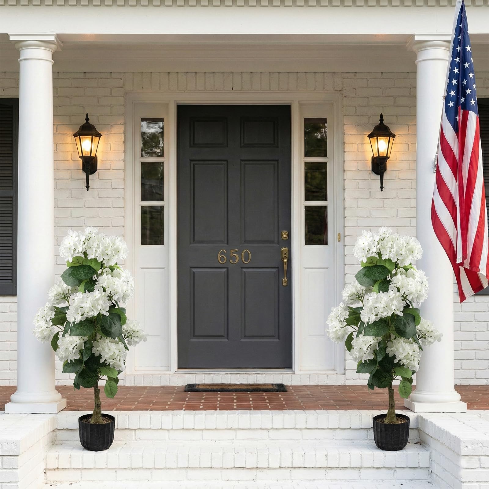 Daynight hydrangea next to chair shows 3 ft height and scale advantage