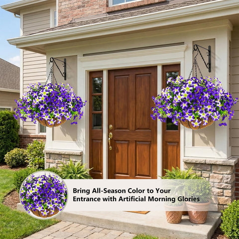 Daynight two hanging baskets displayed together for balanced paired styling