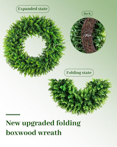 DDHS leaf texture detail highlighting realistic foliage depth