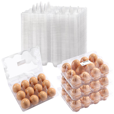 DecarDamai front view of clear 3x4 12-count carton showing organization and protection
