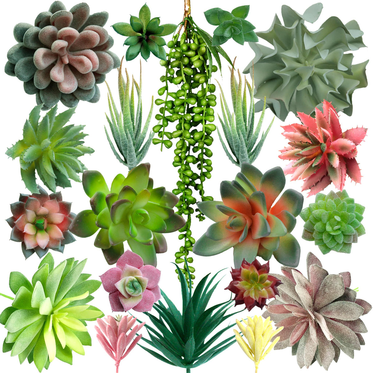DECOROUS front packaging showing 20 unpotted succulents and easy-start benefit
