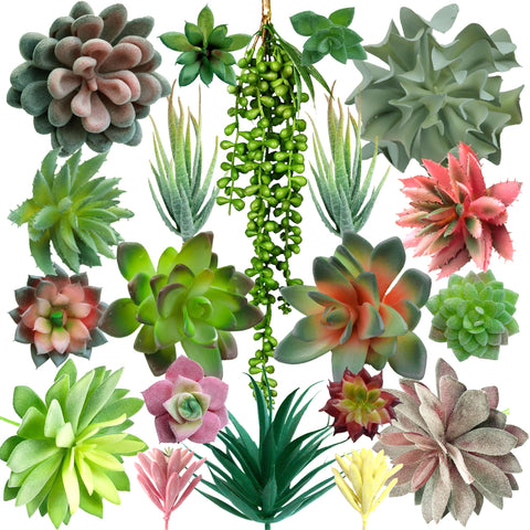 DECOROUS front packaging showing 20 unpotted succulents and easy-start benefit