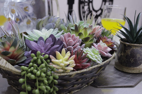 DECOROUS succulents on dining table lifestyle shot enhancing room ambiance