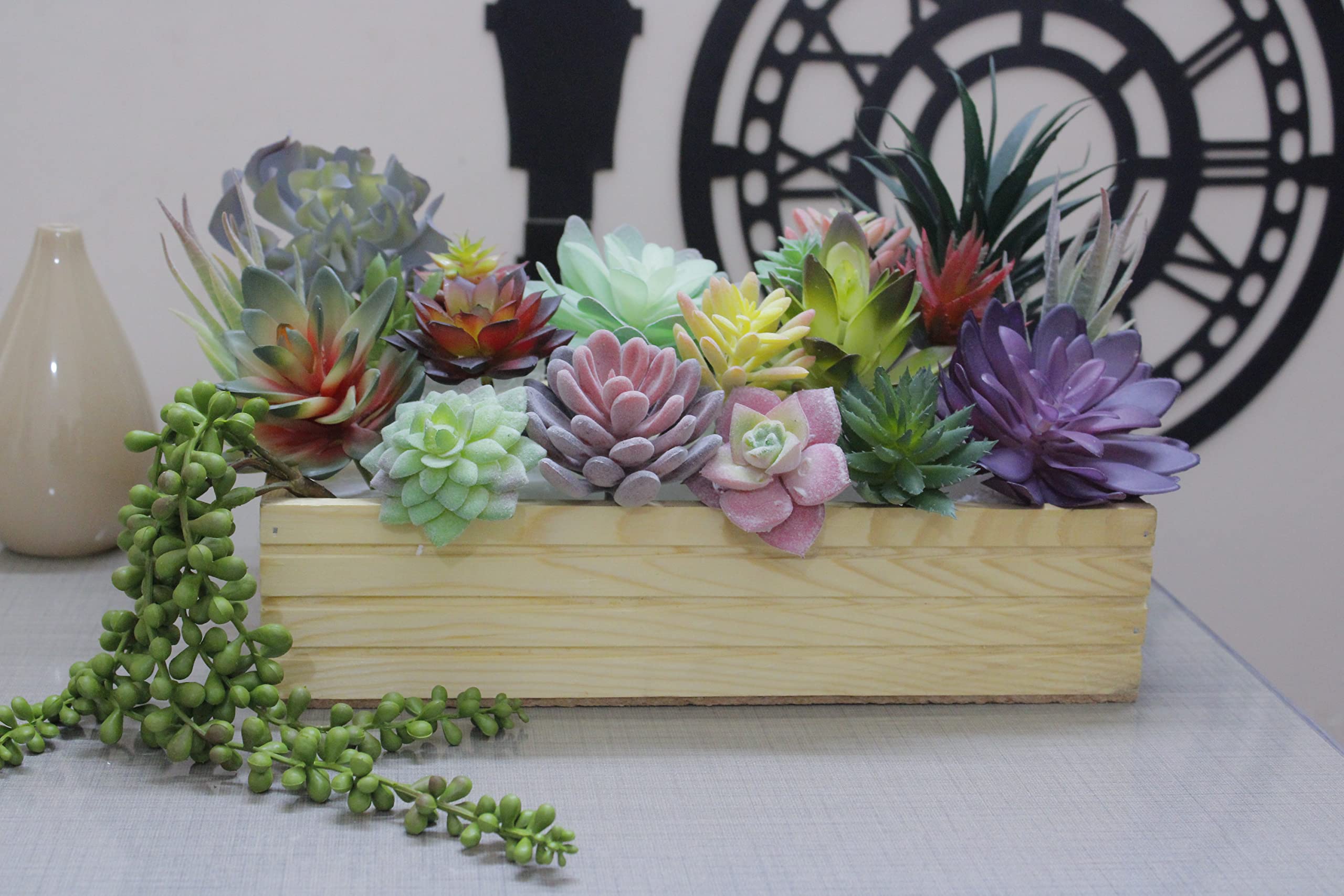 DECOROUS succulents styled in a terrarium offering long-lasting greenery