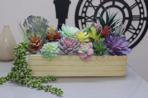 DECOROUS succulents styled in a terrarium offering long-lasting greenery