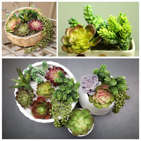 DECOROUS assorted sizes displayed for layered styling and depth